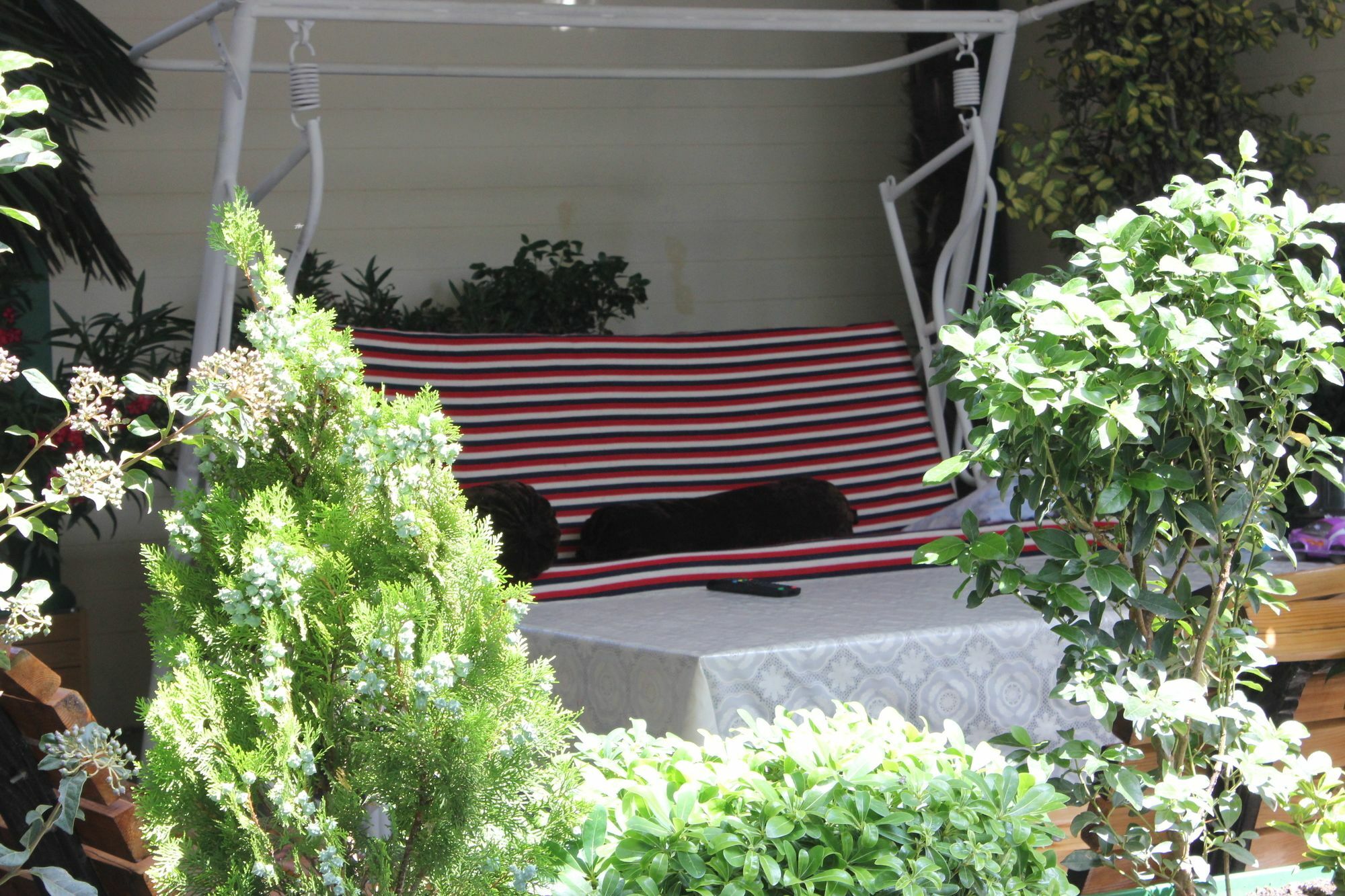 Vedzisi Garden Hotel Tbilisi ภายนอก รูปภาพ